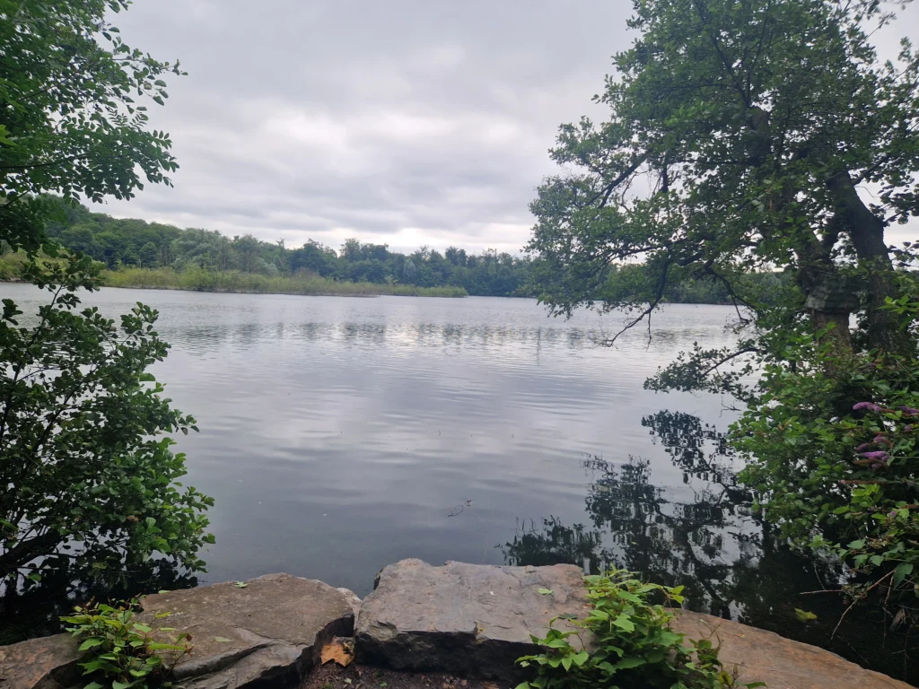 Ruhiger Ewaldsee Herten mit leichtem Plätschern, umgeben von dichten grünen Bäumen und Büschen unter einem bewölkten Himmel, mit Felsen und Pflanzen im Vordergrund.